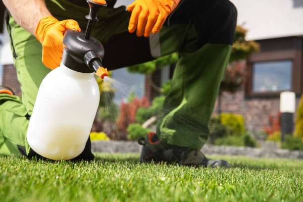 Best Termite Control Services  in Harrington Park, NJ