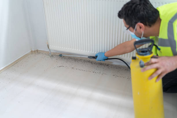 Trusted Harrington Park, NJ Pest Control Experts