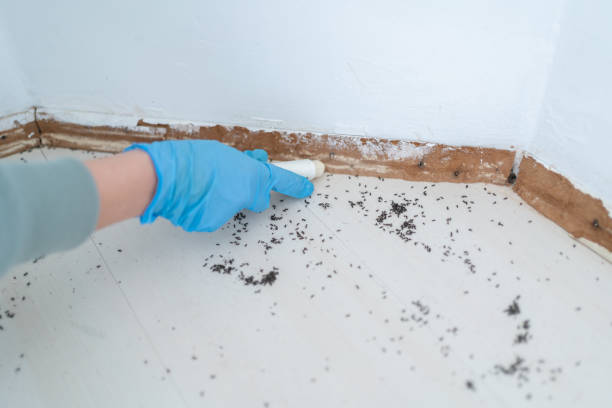 Best Pest Inspection Near Me  in Harrington Park, NJ